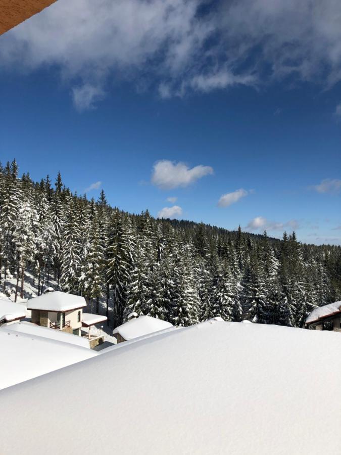 Pamporovo Villa Экстерьер фото