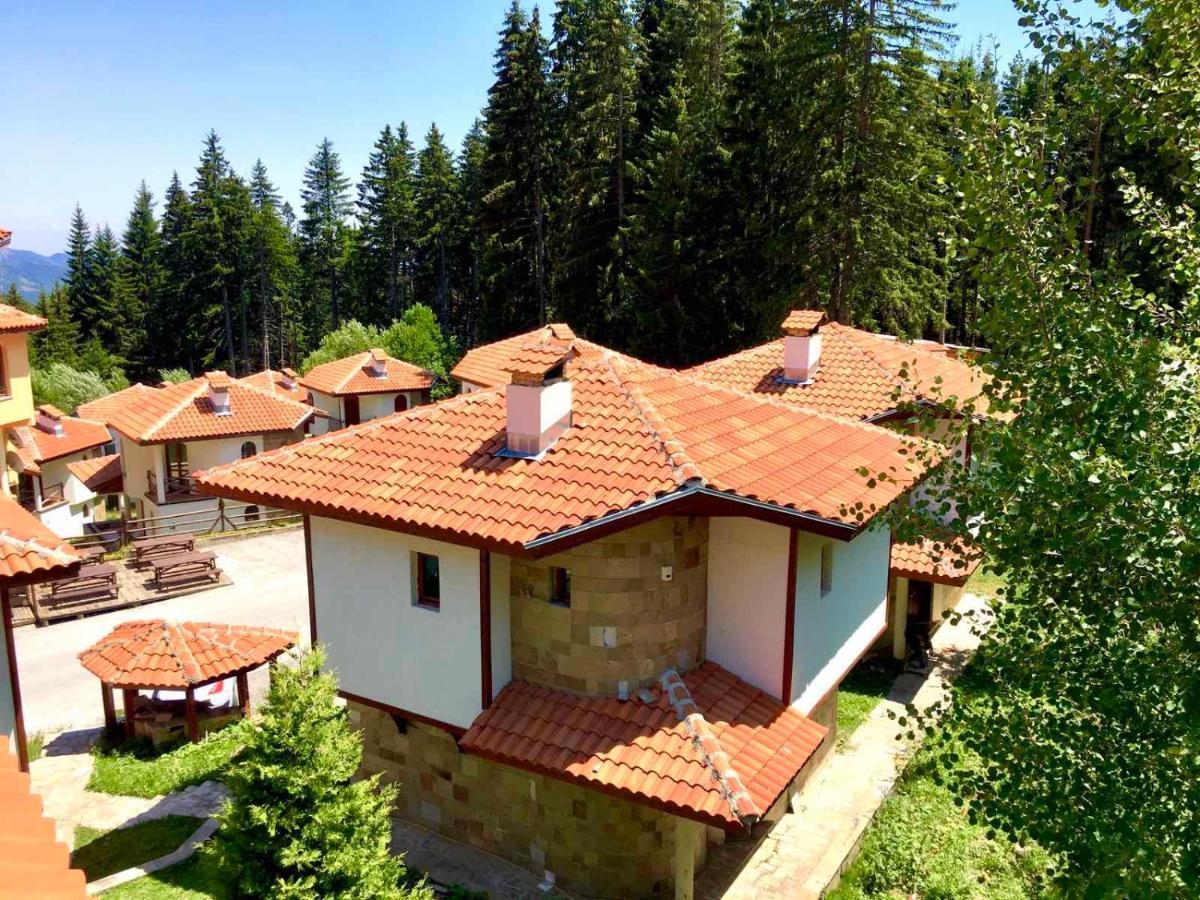 Pamporovo Villa Экстерьер фото