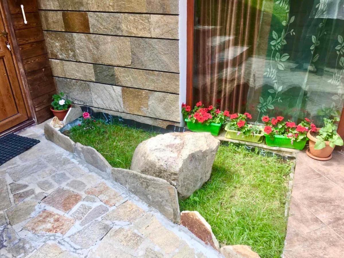 Pamporovo Villa Экстерьер фото
